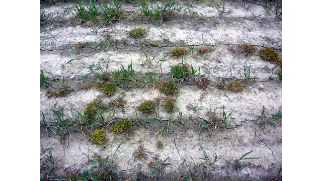 Photographie d’illustration : Terre